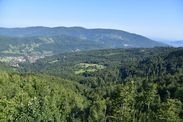 Naklejka premium Beskid Śląski, góry, szlak, lato, krajobraz
