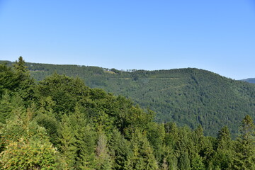 Beskid Śląski, góry, szlak, lato, krajobraz