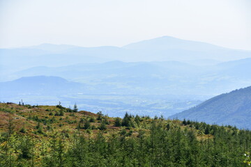 Beskid Śląski, góry, szlak, lato, krajobraz