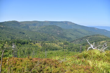 Beskid Śląski, góry, szlak, lato, krajobraz