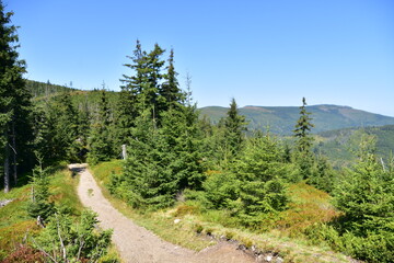 Beskid Śląski, góry, szlak, lato, krajobraz