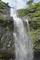 waterfall in the forest