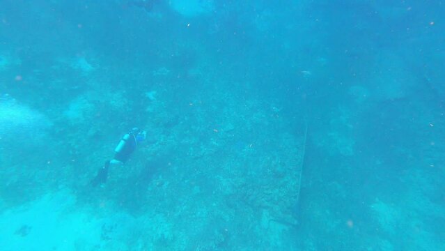 Charlotte Amalie St Thomas- scuba divers and reef on dive