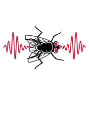 Puls Stubenfliege kleine Hausfliege 