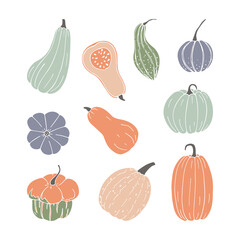 Pumpkin autumn hand drawn set