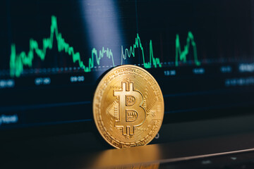 Cryptocurrency. Trading on gadgets. Growth or decline in the next year.