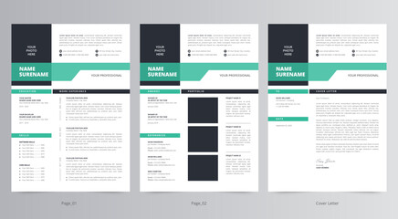 Professional Resume or CV and Cover Letter Template