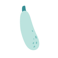 Vegetable marrow. Autumn and summer harvest, farming. Healthy and organic food. Vector illustration in flat style