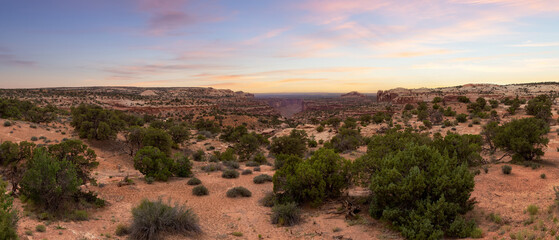 Naklejka premium Scenic Panoramic View of American Landscape and Red Rock Mountains in Desert Canyon. Colorful Sunset Sky Art Render. Canyonlands National Park. Utah, United States. Nature Background Panorama