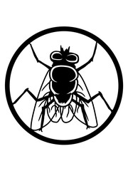 Logo Stubenfliege kleine Hausfliege 