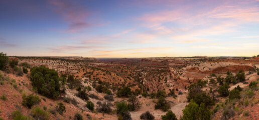 Scenic Panoramic View of American Landscape and Red Rock Mountains in Desert Canyon. Colorful Sunset Sky Art Render. Canyonlands National Park. Utah, United States. Nature Background Panorama
