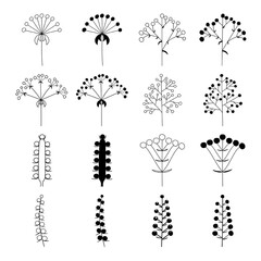 Flower inflorescences in plants on a stem, isolated vector, different pack of outline silhouettes of inflorescences