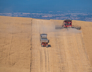 Combine and truck climbing to the top of a ridge of Soft White wheat in Wasco, County Oregon.  This wheat will be exported to the Far East for use in pastries and noodles.  
