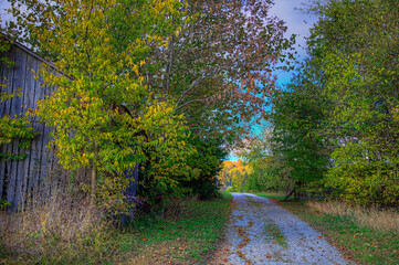 Gravel Road by a Barn Cape Girardeau County Missouri   Photo taken on October 31, 2021  A gravel road in rural Cape Girardeau County goes past an old barn under a canopy of trees.  