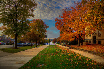 Campus Sidewalk 11 Street Rolla Missouri   Photo taken on November 2, 2021  A beautiful autumn morning down a sidewalk on the campus of Missouri University of S&T in Rolla Missouri.   