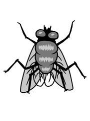 Kleine Hausfliege Insekt Design 