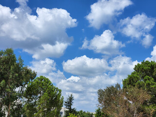 Cumulus clouds have flat bases and are often described as 