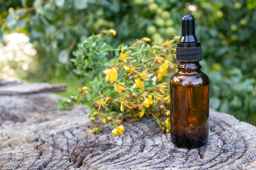 Amber glass dropper bottle of face serum or essential oil and Hypericum medicinal plant yellow flowers on a stump wooden background outdoor. Natural organic spa cosmetic concept