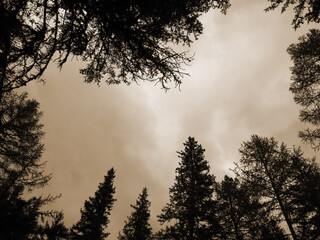 Vintage misty landscape with hills and rocks in sepia tones.