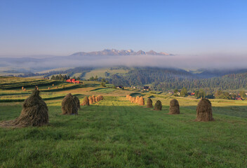 heaps of hay in spring on a meadow with a view of the Tatra Mountains