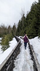 person walking in a forest