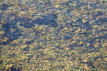 sea costline water background..