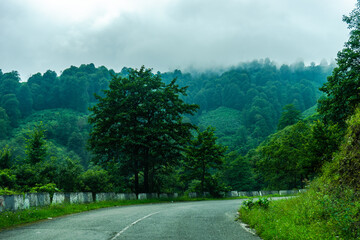 Caucasus mountain in georgian region Guria