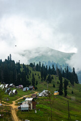 Fototapeta na wymiar Famous georgian mountain resort Bakhmaro
