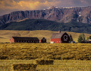 Red barn and hay field in Wallowa County, near Joseph, Oregon