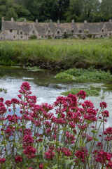 Fototapeta na wymiar bibury, cotswolds, cottage, england, gloucestershire, UK, great brittain, flowers, 
