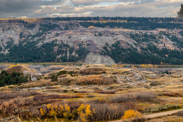 Fall colours on full display in the badlands. Dry Island Buffalo Jump Provincial Park, Alberta, Canada