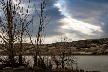 Spring comes to Litte Bow PRA. Vulcan County, Alberta, Canada