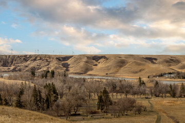 Spring comes to Litte Bow PRA. Vulcan County, Alberta, Canada