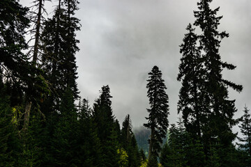 Caucasus mountain in georgian region Guria