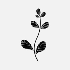  Black Flower and Leafs on white background Vector Illustration