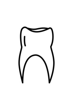 image of a tooth
