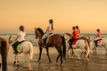 rear view of a group of 6 horses mounted by young riders trotting in the sea.