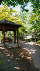 park bench with trees