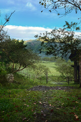 An open field on a farm in the Colombian Andes in the early morning