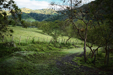 A walking path in the Andes Mountains in rural Colombia on a cloudy day.