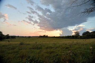 Fototapeta na wymiar Sunset clouds & pasture