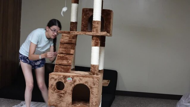 Young Cat Owner Setting Up Cat Tower