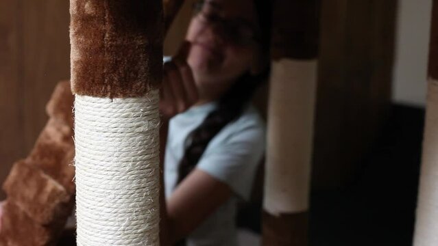 Young Cat Owner Setting Up Cat Tower