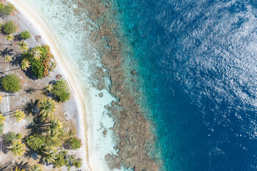 Drone French Polynesia Tahiti Moorea Fakarava