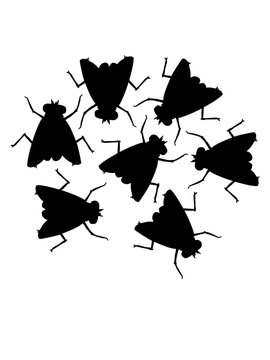 Hausfliegen Gruppe Team Silhouette 