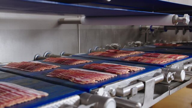 Portions of thinly sliced bacon on conveyor belt before starting packaging process