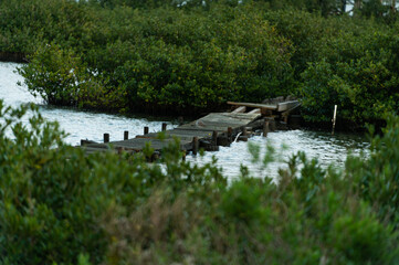 Fototapeta na wymiar Swamp_Boardwalk_Destruction