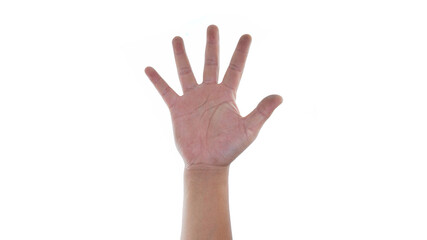Fototapeta premium Male hand showing five finger sign isolated on white background 
