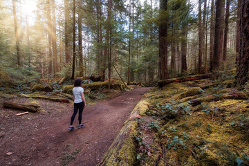 Fototapeta premium Adventure Woman Hiking on a Trail in a vibrant forest with green trees. Canadian Nature. Buntzen Lake Loop Trail, Anmore, Vancouver, BC, Canada.