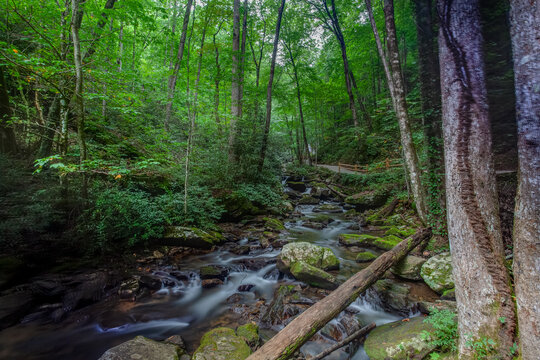Anna Ruby Falls cascading stream